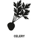 Pictograms allergenic regulation celery