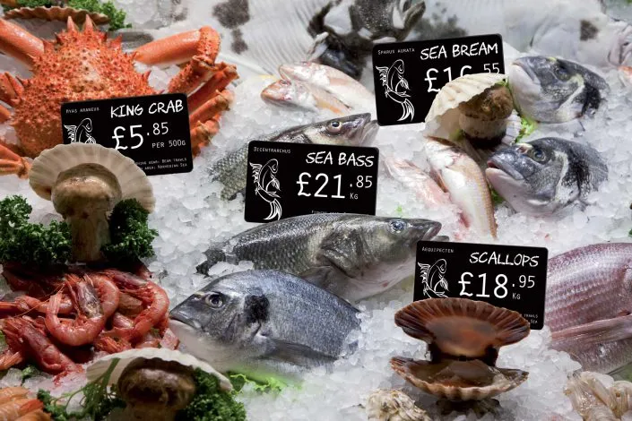 Price-Tag-Fish-Display